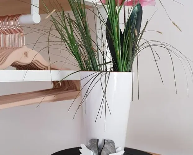 La Casa De Maria Pansiyon San Sebastián