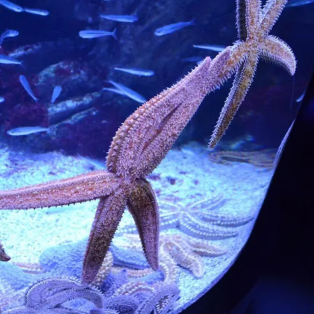 Rum i privatbostad La Casa De Maria *