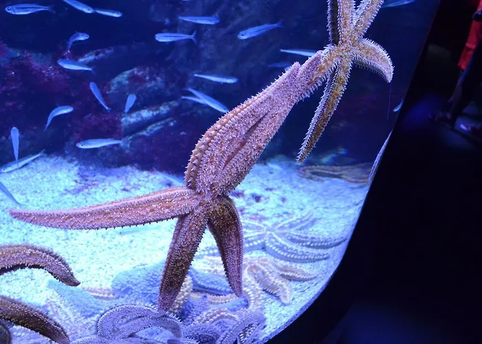 Séjour chez l'habitant La Casa De Maria *